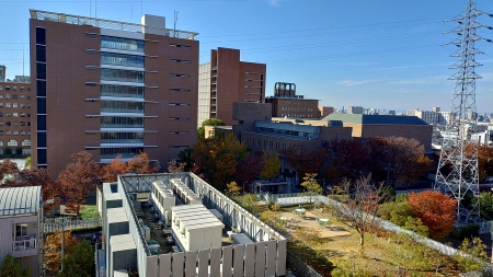 2025�N���~�̋ߋE��w�����L�����p�X